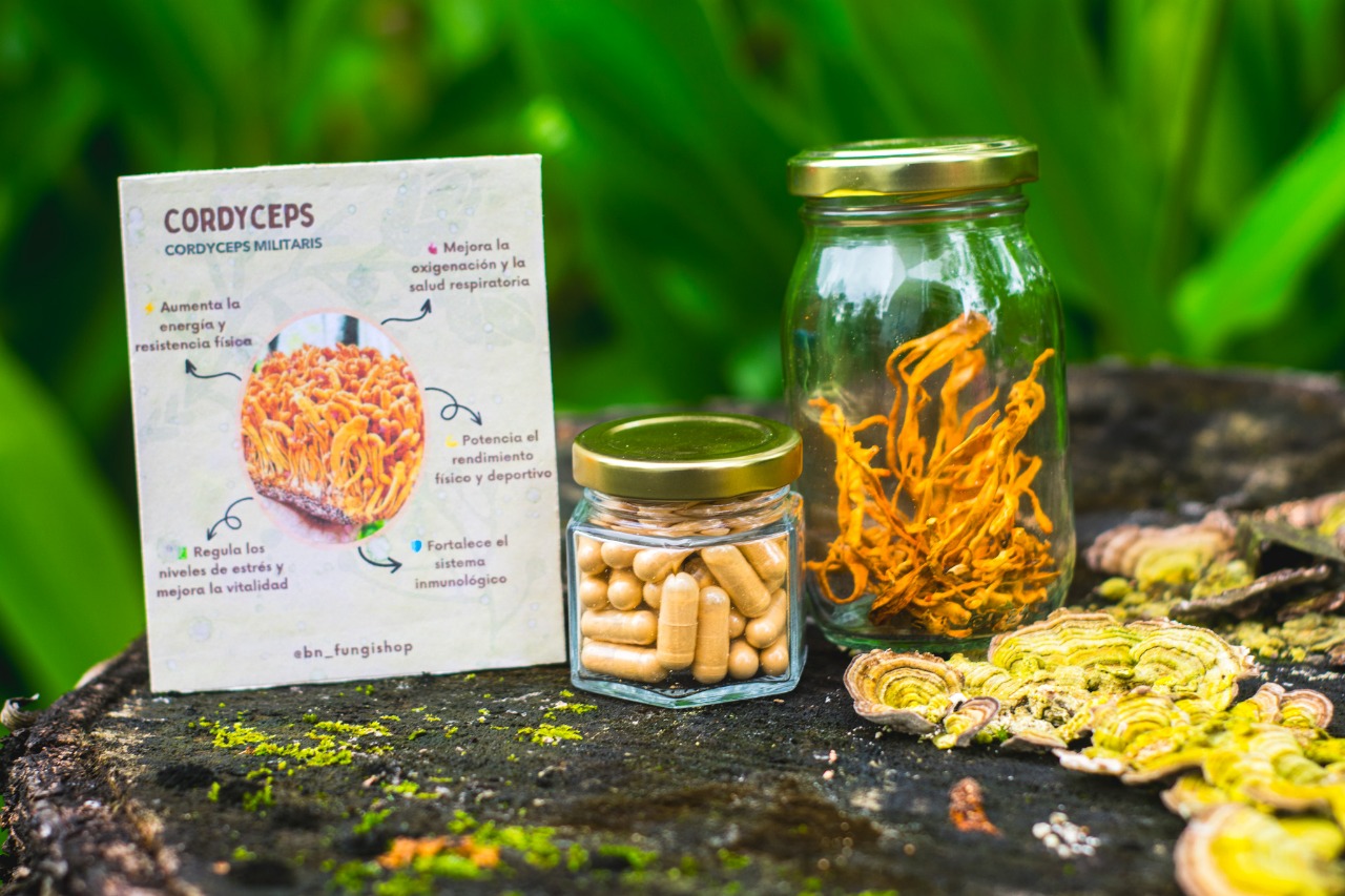 Micro Cordyceps